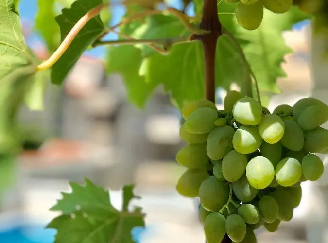 Апартаменти Dalmatien Traumhaus Макарська