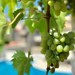 Apartamento Dalmatien Traumhaus Makarska