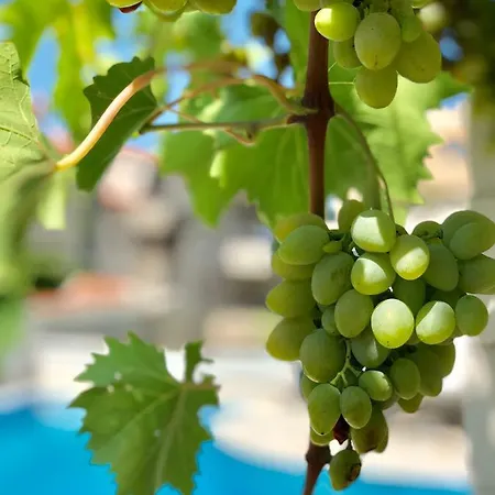 Daire Dalmatien Traumhaus Makarska